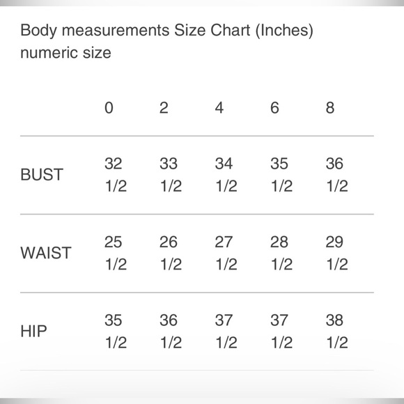 Et Ochs Kaia Sexy Bodycon Mesh Overlay Dress - Picture 7 of 9